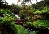 Thumbs/tn_Arenal Hot Springs .jpg
